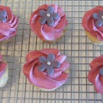 Matching Cupcakes